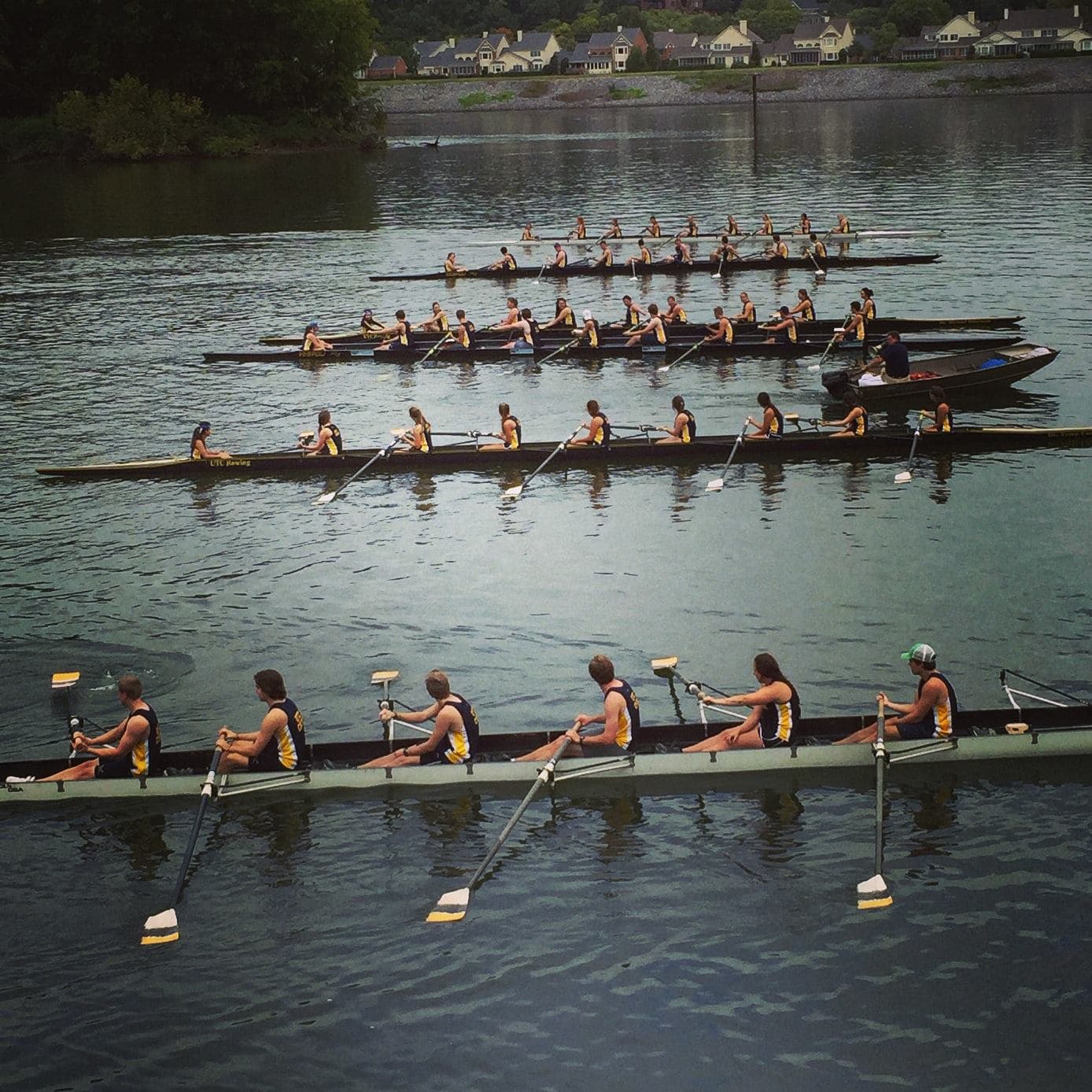 Modern UTC women's training — multiple eights on the Tennessee River with hillside houses behind